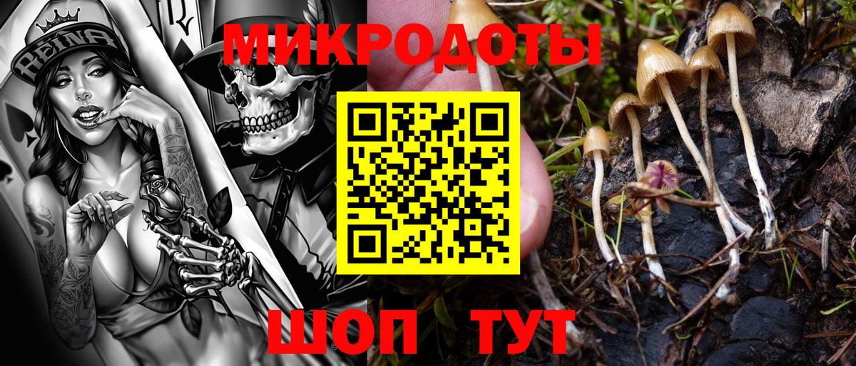 Псилоцибиновые грибы MAGIC MUSHROOMS  Псилоцибиновые грибы GOLDEN TEACHER  закладка  Волжск  Вход с VPN 